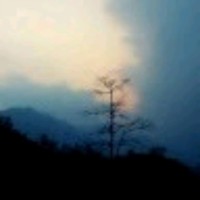 Anup Tamang