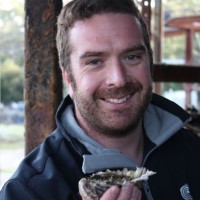 Josh Fielding