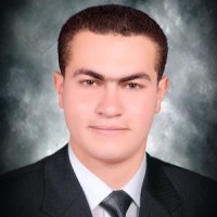 Ahmed Atef Mohamed