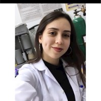 Ceren Acar Zeren
