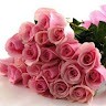 Hanan Sameer