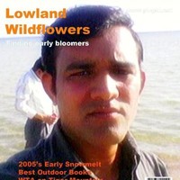 Manish Laljibhai