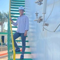 Alaa Elwan