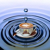 KOPI TORAJA ANGIN MAMIRI