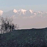 Ащок Аряль