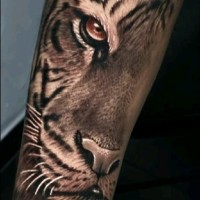 ابوالفضل سلیمانی