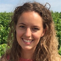 Rianne De Vries