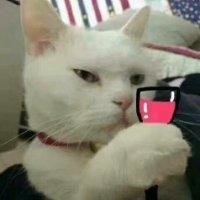 徐华桥