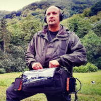 David Aliperti