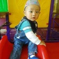 杨培嶺