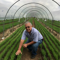 Cesar Augusto Palma Espina