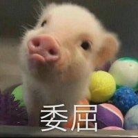沈锦华