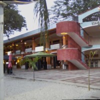 Multiservicios Tropicales de Guanacaste