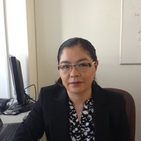 Elisa Mendez Kim