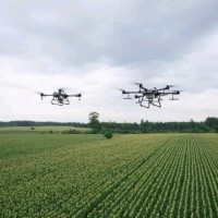 Dji Agriculture Indonesia