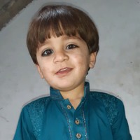 Veer Shamii