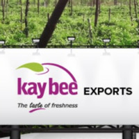 Connect Kay Bee