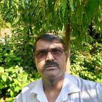 ravindra kumar kushwaha