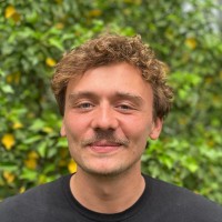 Dominik Bauer