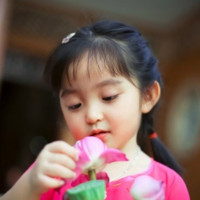 Dinh Vinh Son