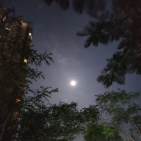 黄晓容