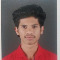 Vignesh N