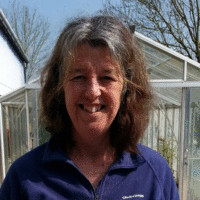 Anne Arthur