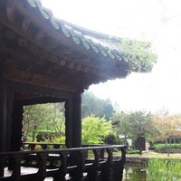 전세은