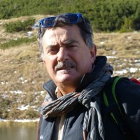 Mauro Guidelli