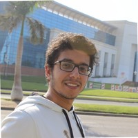 Anas Sultan