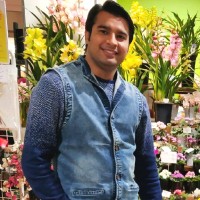 Sumit Verma