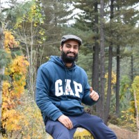 Tabish Hassan Mir