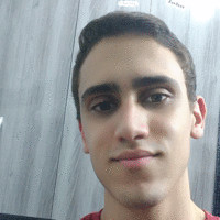 Lincoln Samuel Teixeira
