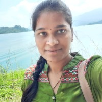 Vidya B M