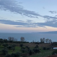 Sokratis Demertzidis