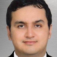 TOMAS VLADIMIR GALVEZ OLORTEGUI