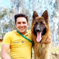 Juan David Mora Vargas