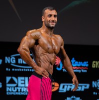 Reza Moloodi