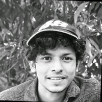 sibin roy