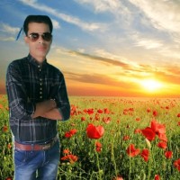 Vikash Jha