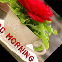Zohaib Amjad
