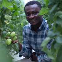 emmanuel okyere