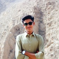 Hamid Ali