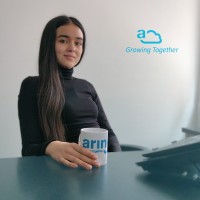 Arin Innovationhr