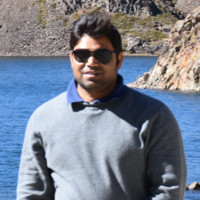 Vipin Bihari