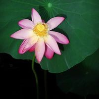 이동규