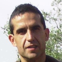 Massimiliano Fini