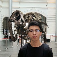 Rex Tan