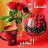 Bamba Hamadi
