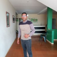 Domingo Arismendi
